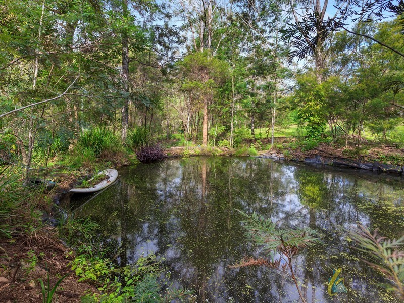 103 Pinjarra Road, Pinjarra Hills QLD 4069