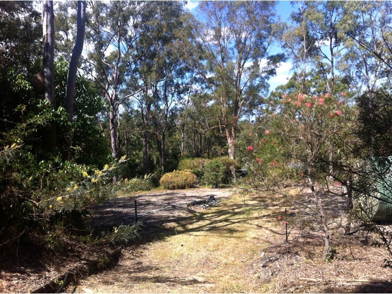 17 Pylara Street, Fig Tree Pocket QLD 4069