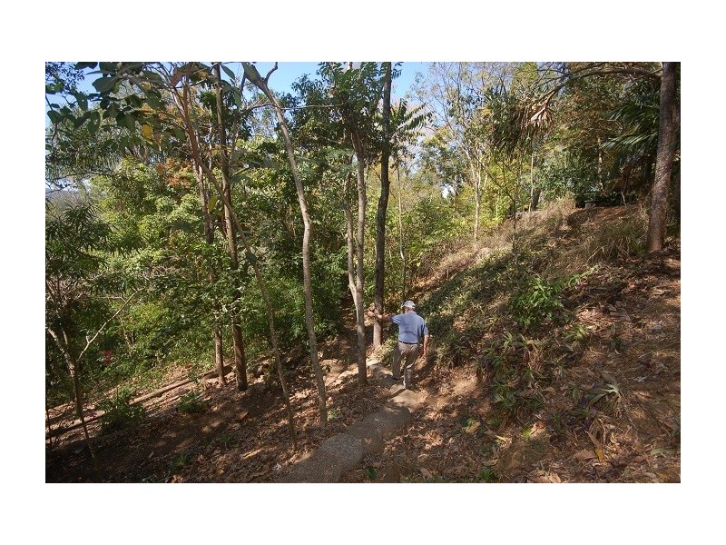 55 Billagall Drive, Karana Downs QLD 4306