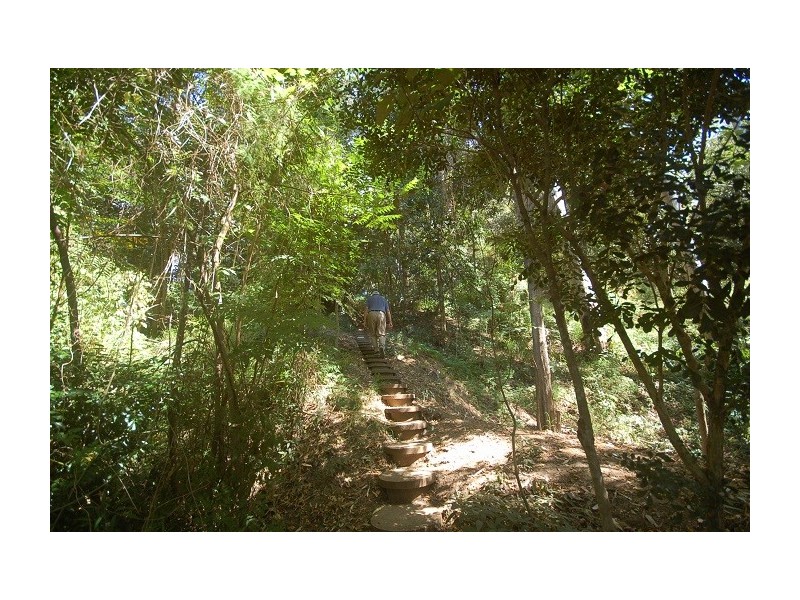 55 Billagall Drive, Karana Downs QLD 4306