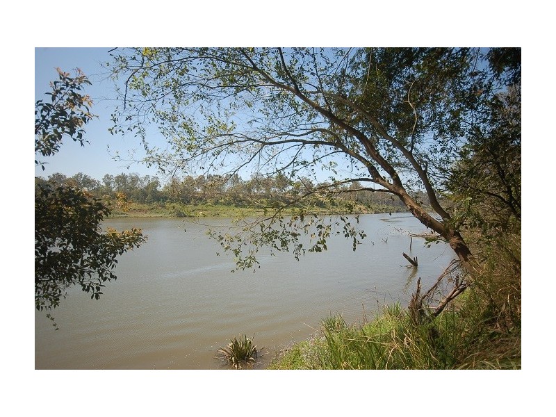 55 Billagall Drive, Karana Downs QLD 4306