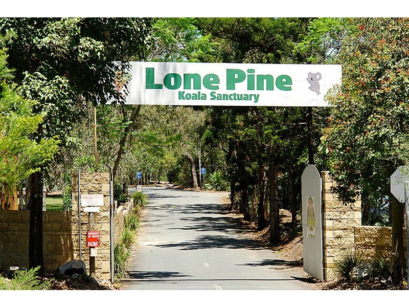 37 Gunnin St, Fig Tree Pocket QLD 4069