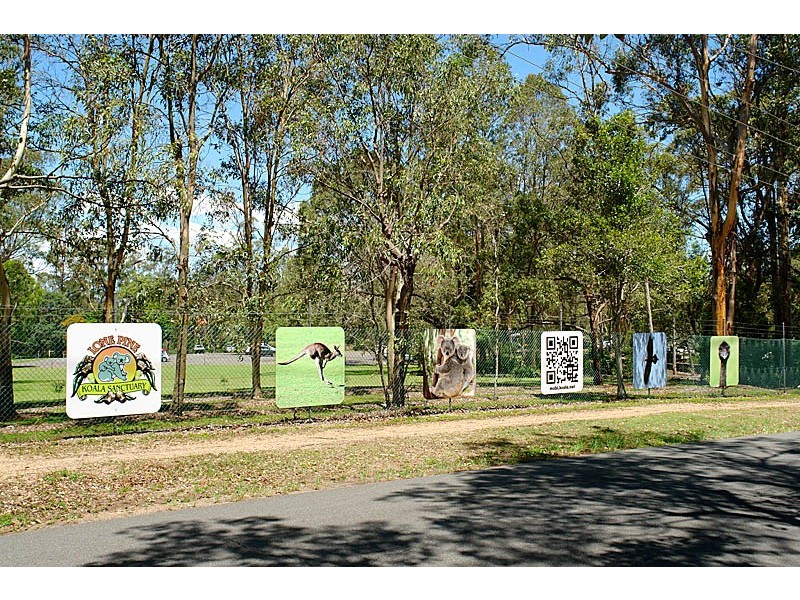 37 Gunnin St, Fig Tree Pocket QLD 4069