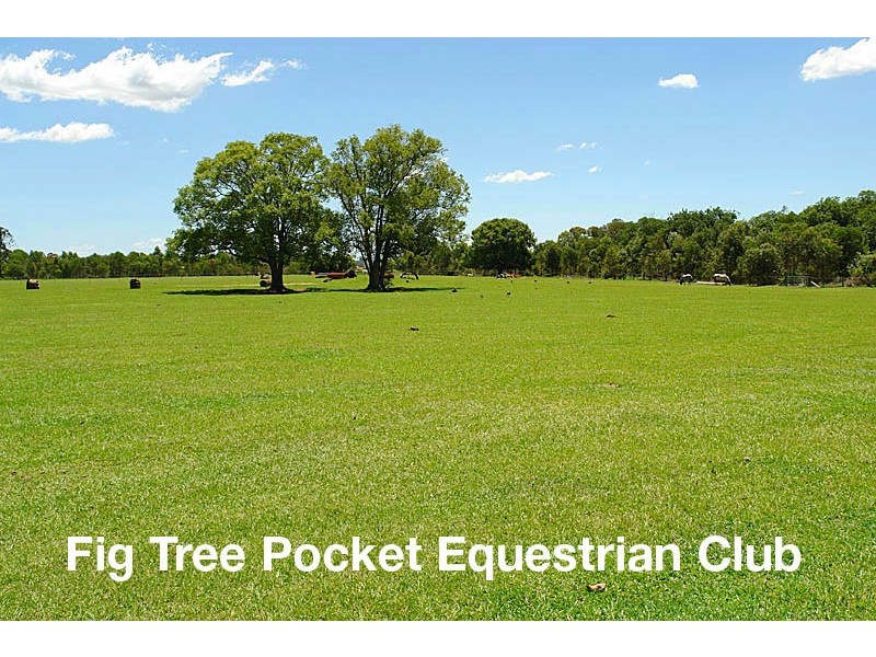 37 Gunnin St, Fig Tree Pocket QLD 4069