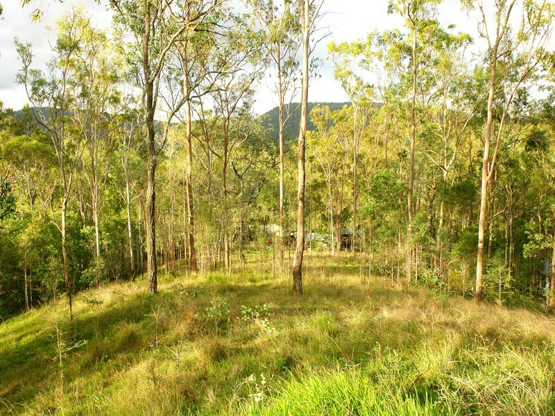 16 Sanson Place, Mount Crosby QLD 4306