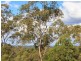 90 Crows Ash Road, Pullenvale QLD 4069