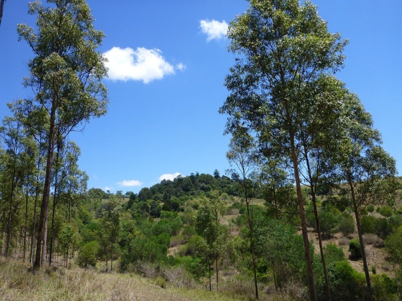 424A Tallegalla Road, Tallegalla QLD 4340