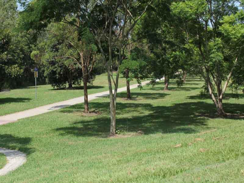 2 Jamieson Pl, Brookfield QLD 4069