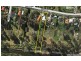 21 Atkinson Drive, Karana Downs QLD 4306