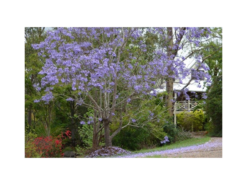 1 Patanga Court, Karana Downs QLD 4306