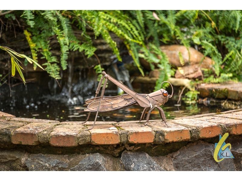 15 Wattle St, Mount Crosby QLD 4306