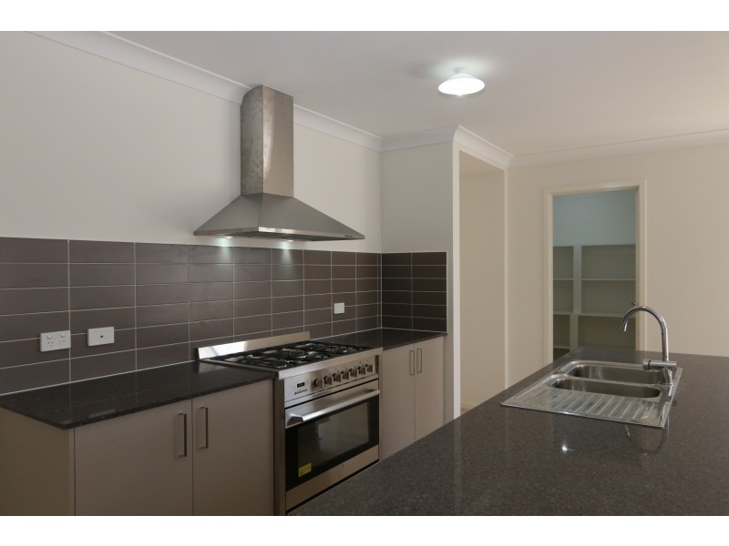 3 Wren Street, Redbank Plains QLD 4301