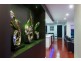 10 Grevillea Place, Chapel Hill QLD 4069