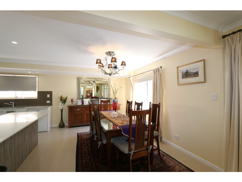 19 Mirbelia Street, Kenmore QLD 4069