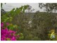 141 Allawah Rd, Chuwar QLD 4306