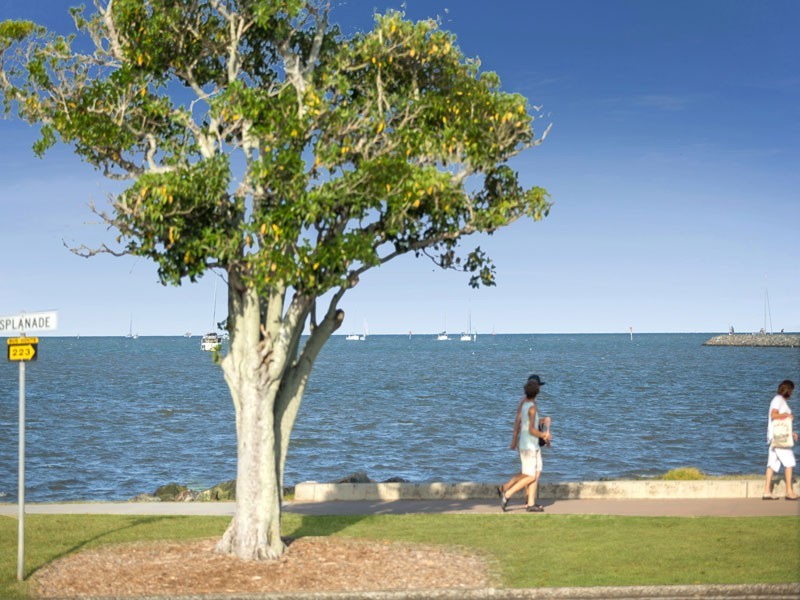 51 Carlton Terrace, Wynnum QLD 4178