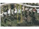 59 Atkinson Drive, Karana Downs QLD 4306