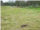 Lot 5 Bauhinia Place, Kenmore QLD 4069