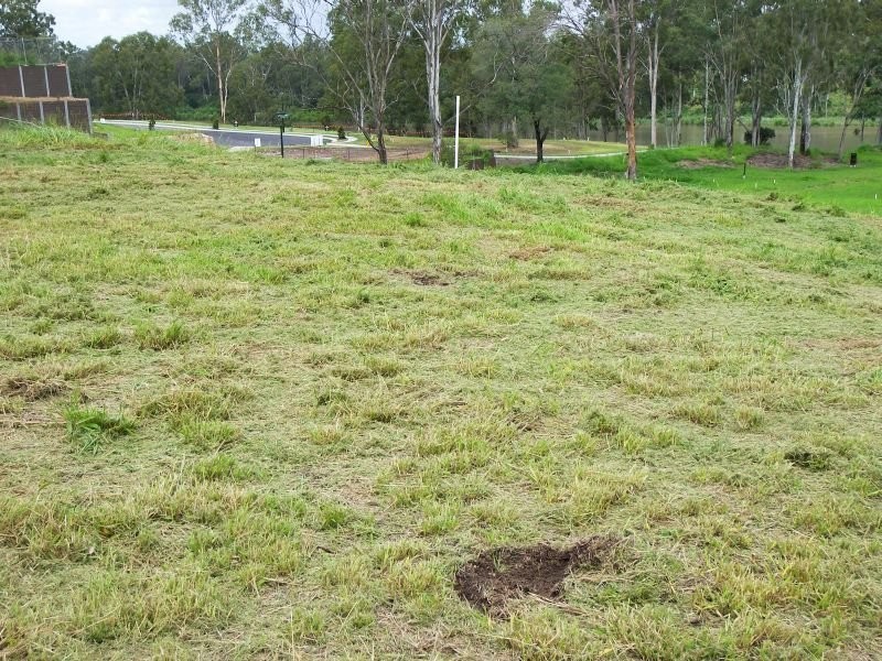 Lot 5 Bauhinia Place, Kenmore QLD 4069
