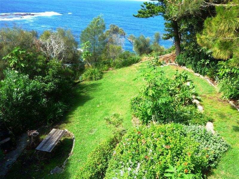 55 Bungan Head Road, Newport NSW 2106