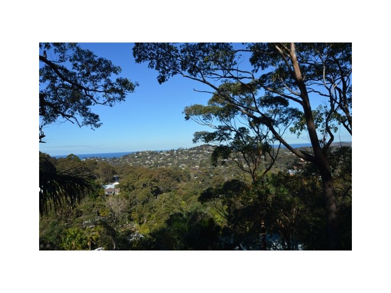 53 Cheryl Crescent, Newport NSW 2106