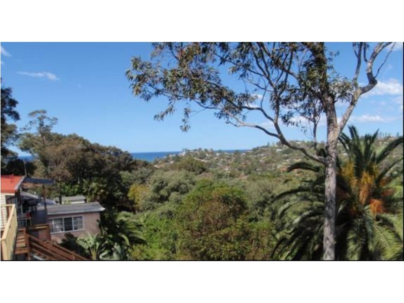 33a Wallumatta Road, Newport NSW 2106