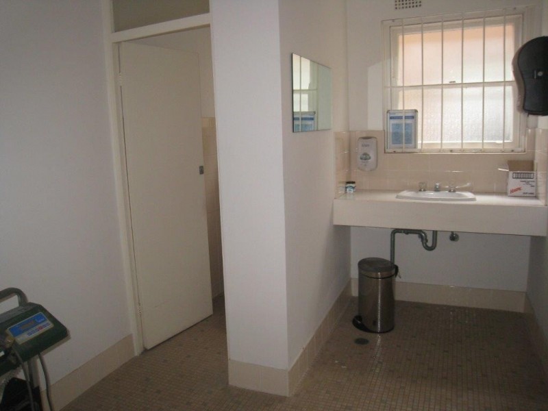 41 Chard Road, Brookvale NSW 2100