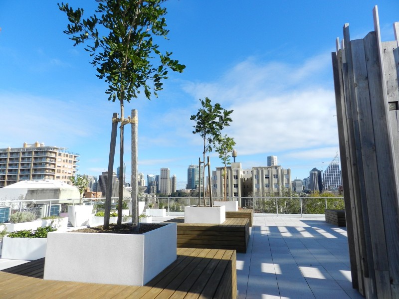 2/91-93 Macleay Street, Potts Point NSW 2011