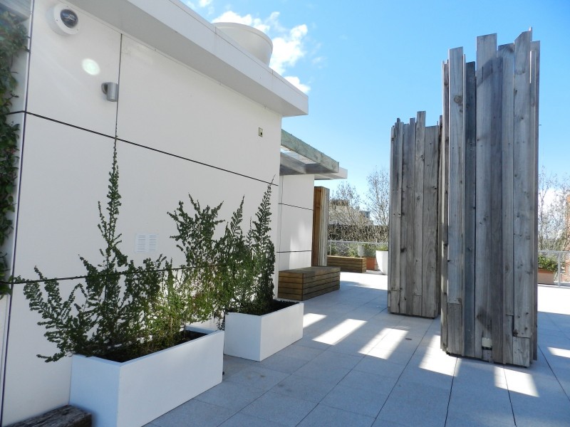 2/91-93 Macleay Street, Potts Point NSW 2011