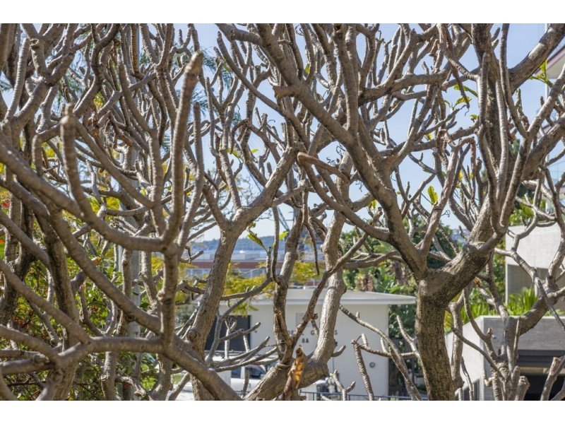 8/5 Wylde Street, Potts Point NSW 2011