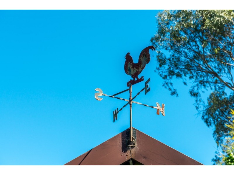 26 Farnell Street, Hunters Hill NSW 2110