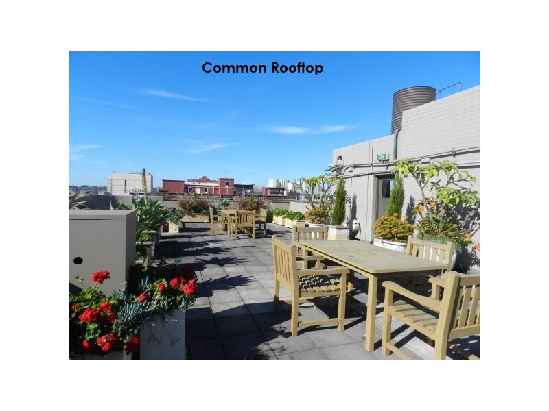 11/347 Liverpool Street, Darlinghurst NSW 2010