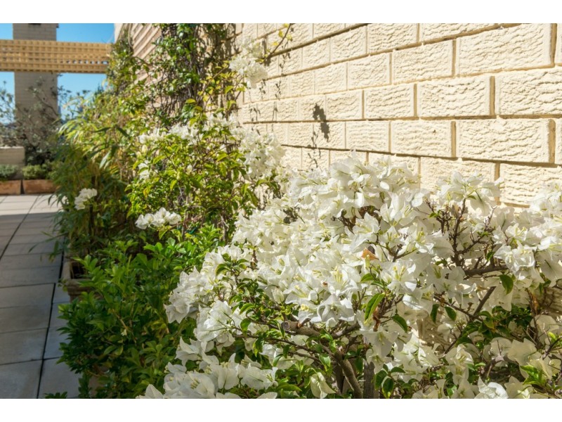 85/3 Greenknowe Avenue, Elizabeth Bay NSW 2011