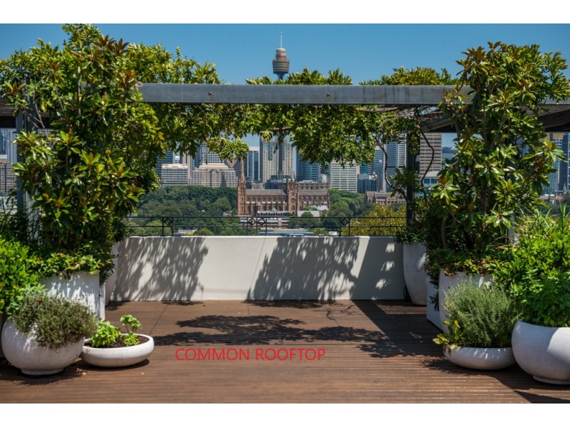 23/11 Springfield Avenue, Potts Point NSW 2011