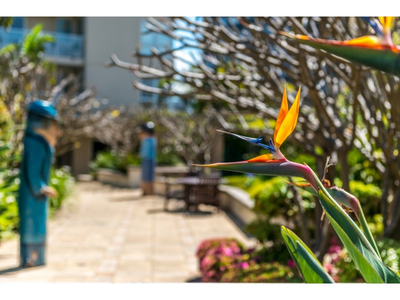 608/1 Kings Cross Road, Darlinghurst NSW 2010