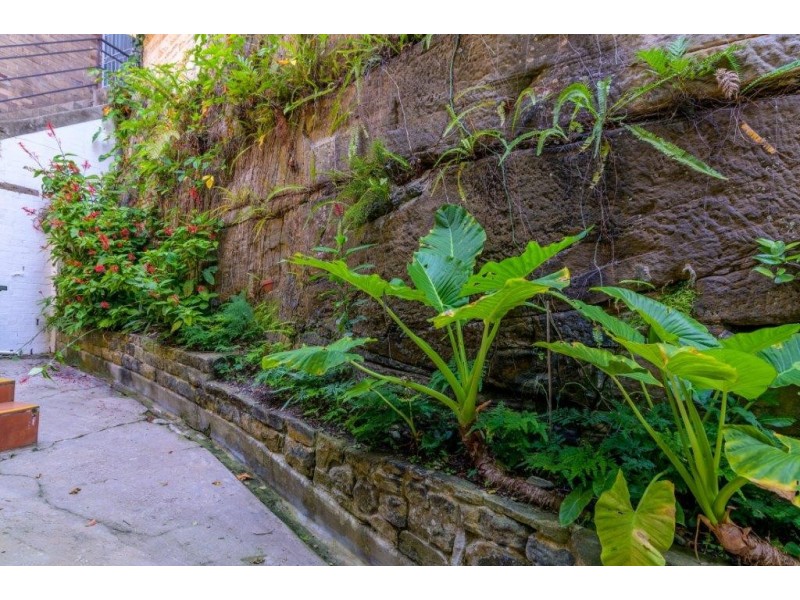 2/21A Billyard Avenue, Elizabeth Bay NSW 2011