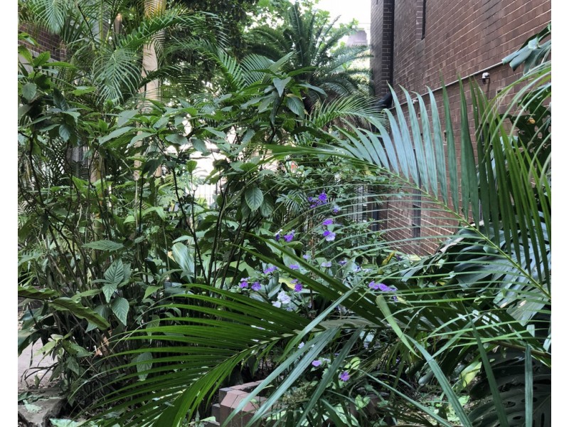 15/20-22 Springfield Avenue, Potts Point NSW 2011