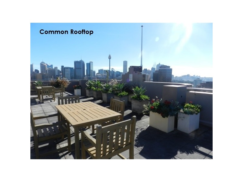 3/347 Liverpool Street, Darlinghurst NSW 2010