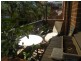 13/6 Challis Avenue, Potts Point NSW 2011