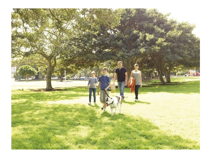 605/17 Gratton Close, Glebe NSW 2037