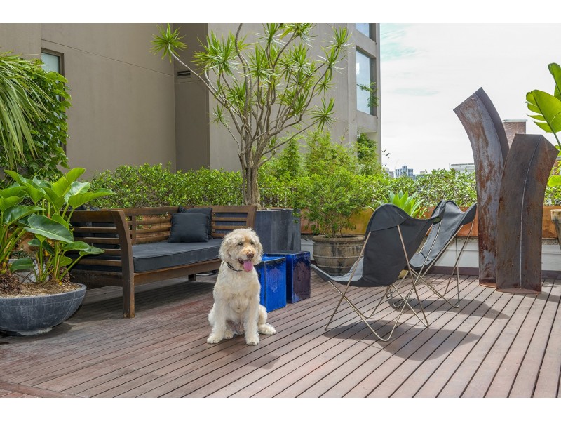 110-111/28 Macleay Street, Potts Point NSW 2011