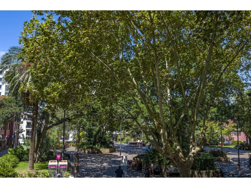 11/117 Macleay Street, Potts Point NSW 2011