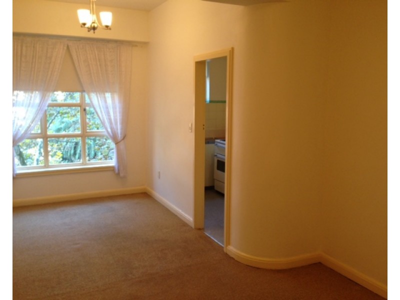 302/115 Macleay Street, Potts Point NSW 2011