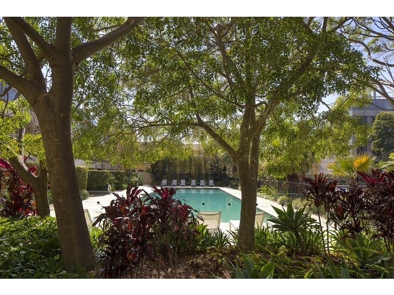 305/184 Forbes Street, Darlinghurst NSW 2010