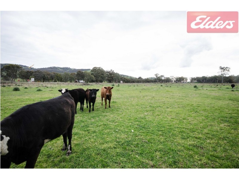 15 Old Barnawartha Road, West Wodonga VIC 3690
