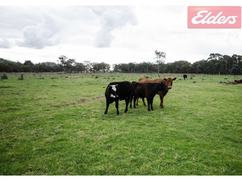 15 Old Barnawartha Road, West Wodonga VIC 3690