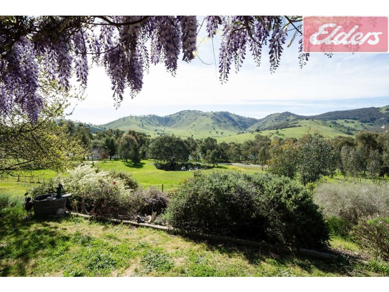 2028 Murray River Road, Talgarno VIC 3691