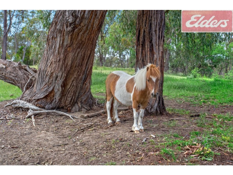 167 Glass Lane, Yackandandah VIC 3749