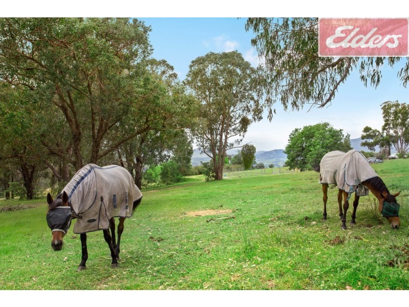 167 Glass Lane, Yackandandah VIC 3749