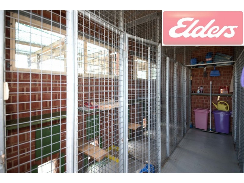 1390 Spring Drive, Corowa NSW 2646